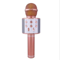 Wireless Microphone Hifi Speaker